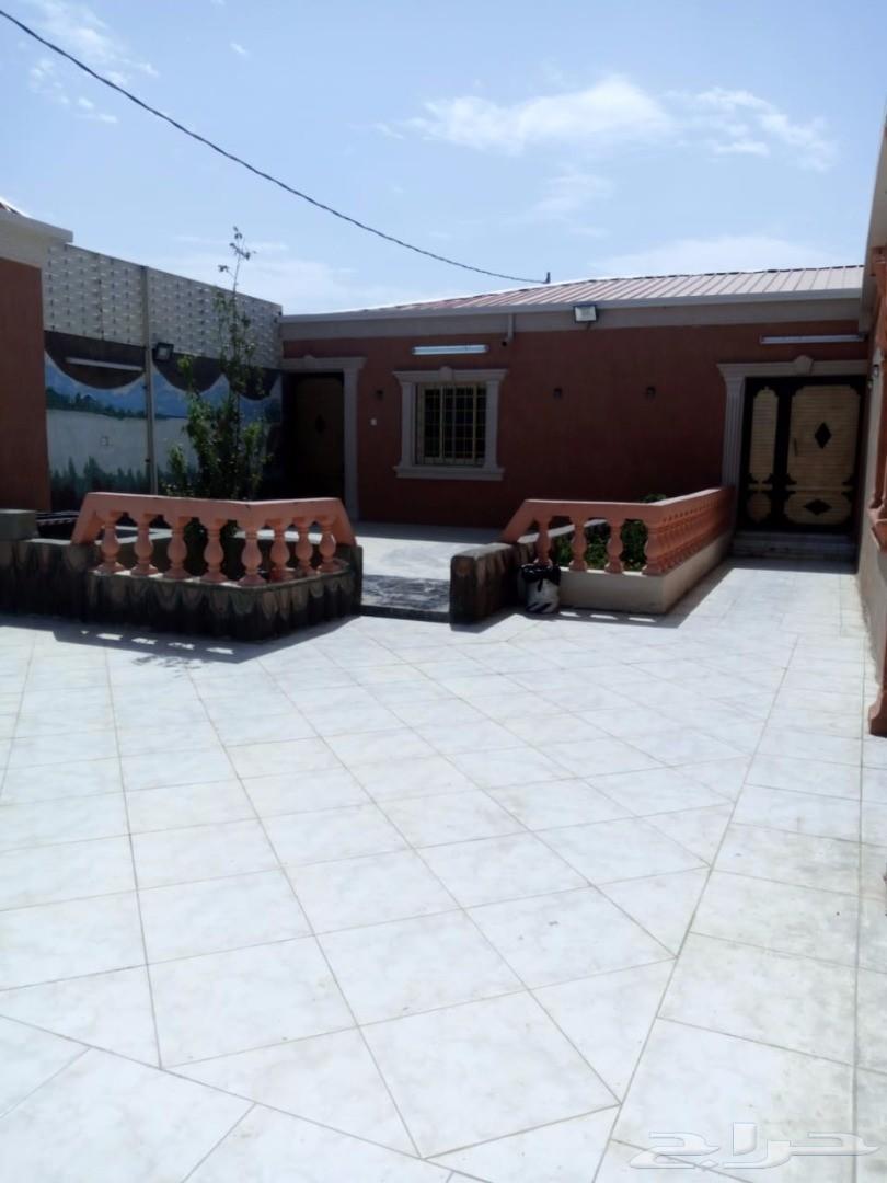 استراحة عوايل للاجار عرض خاص يومين الويكند