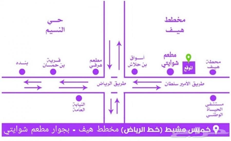 دفعة جديدة سمك وسلاحف