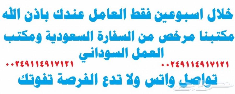 تبي عامل سوداني سايق.او راعي.سايق.طبيب ووو