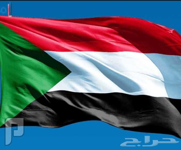 الي كل السعوديون هنا عماله سودانيه جاهزه للعم