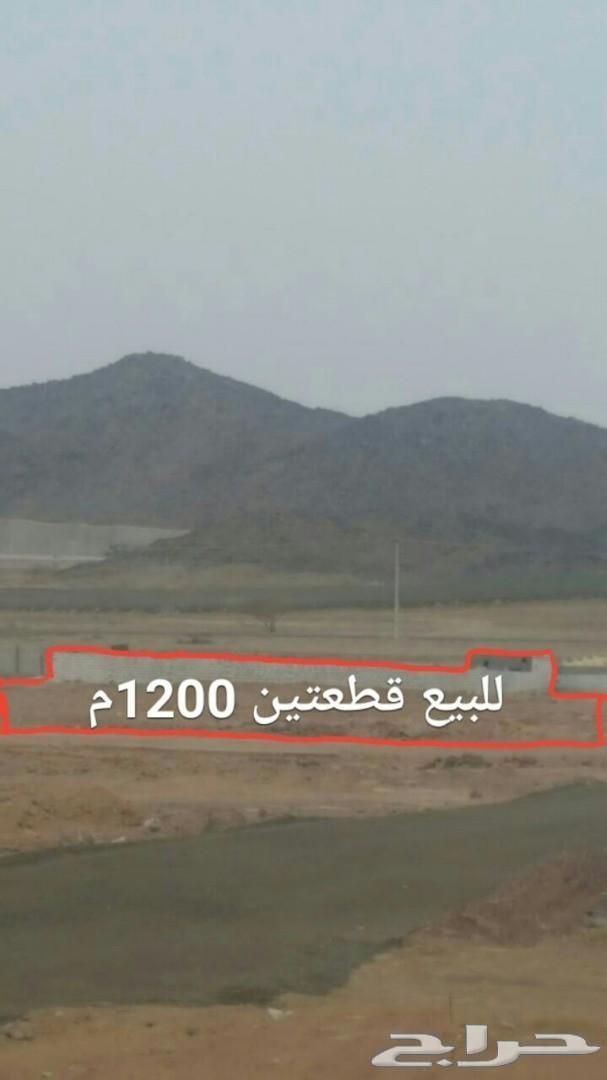 عرض طيب للبيع قطعتين ارض متجاوره في الغولاء