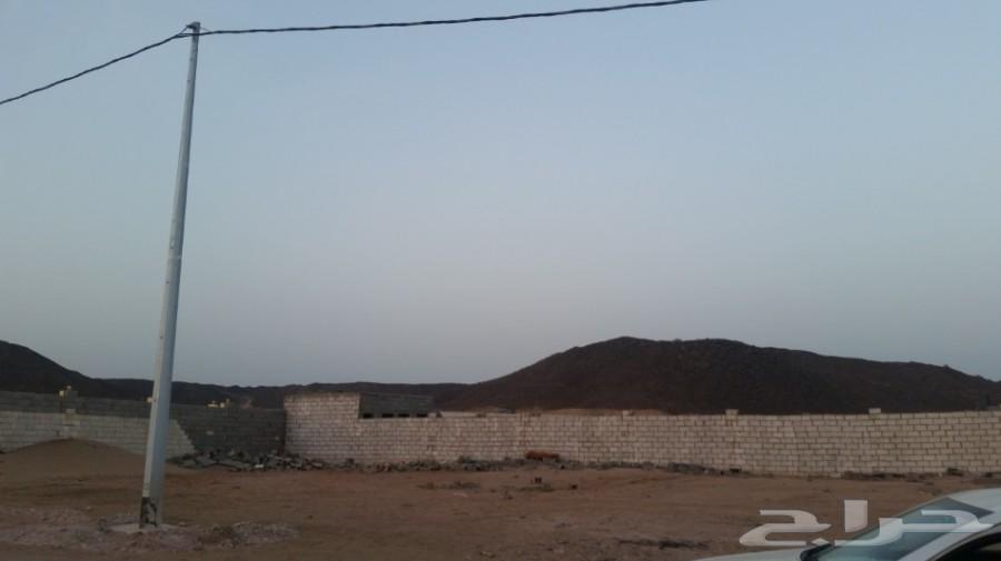 عرض طيب للبيع قطعتين ارض متجاوره في الغولاء