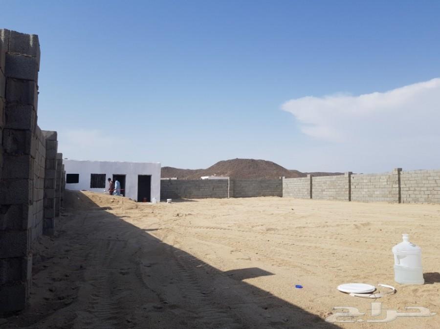 عرض طيب للبيع قطعتين ارض متجاوره في الغولاء
