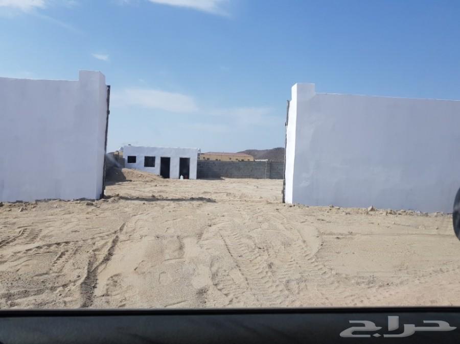 عرض طيب للبيع قطعتين ارض متجاوره في الغولاء