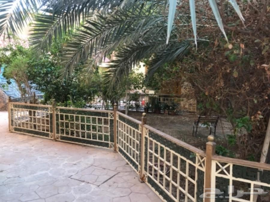 فله حي النخيل الغربي 750م للايجار