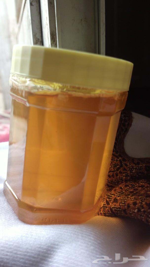 عسل حضرمي درجة اولى فاخر على الفحص