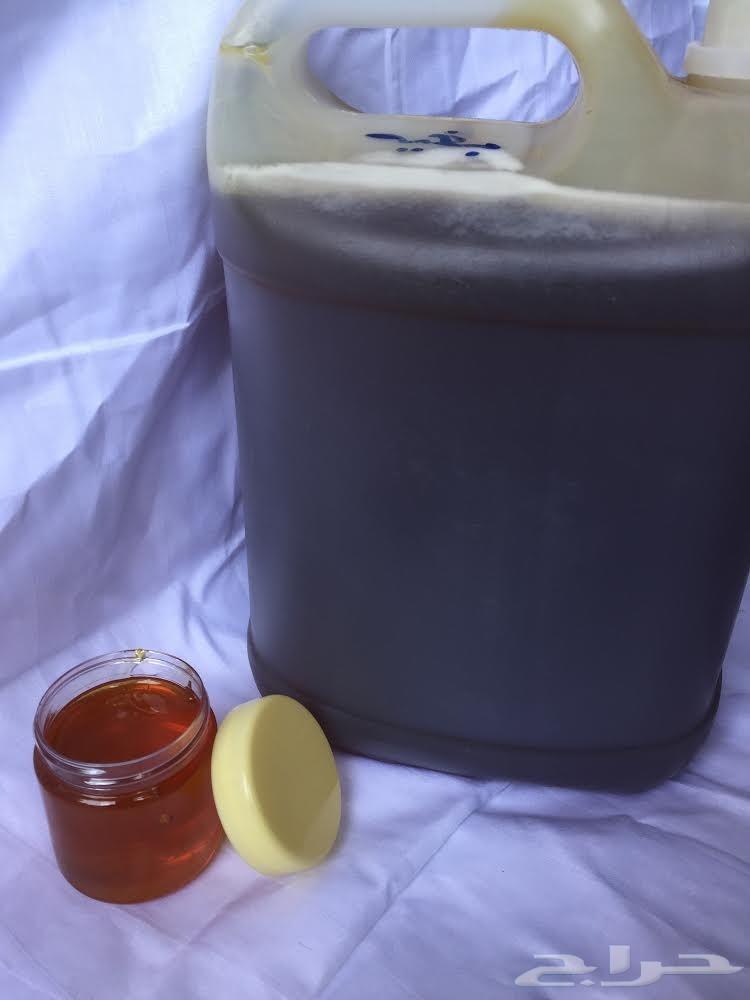 عسل حضرمي درجة اولى فاخر على الفحص