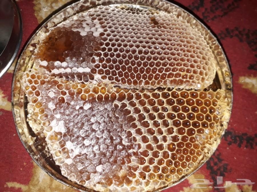 عسل حضرمي درجة اولى فاخر على الفحص