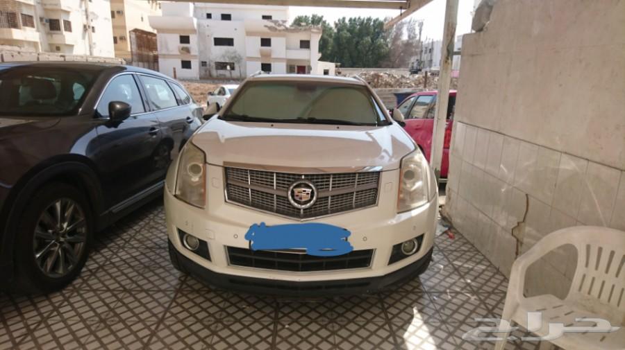 كاديلاك قمة النظافة