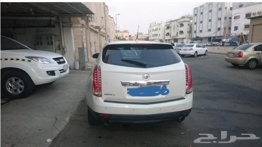 كاديلاك قمة النظافة