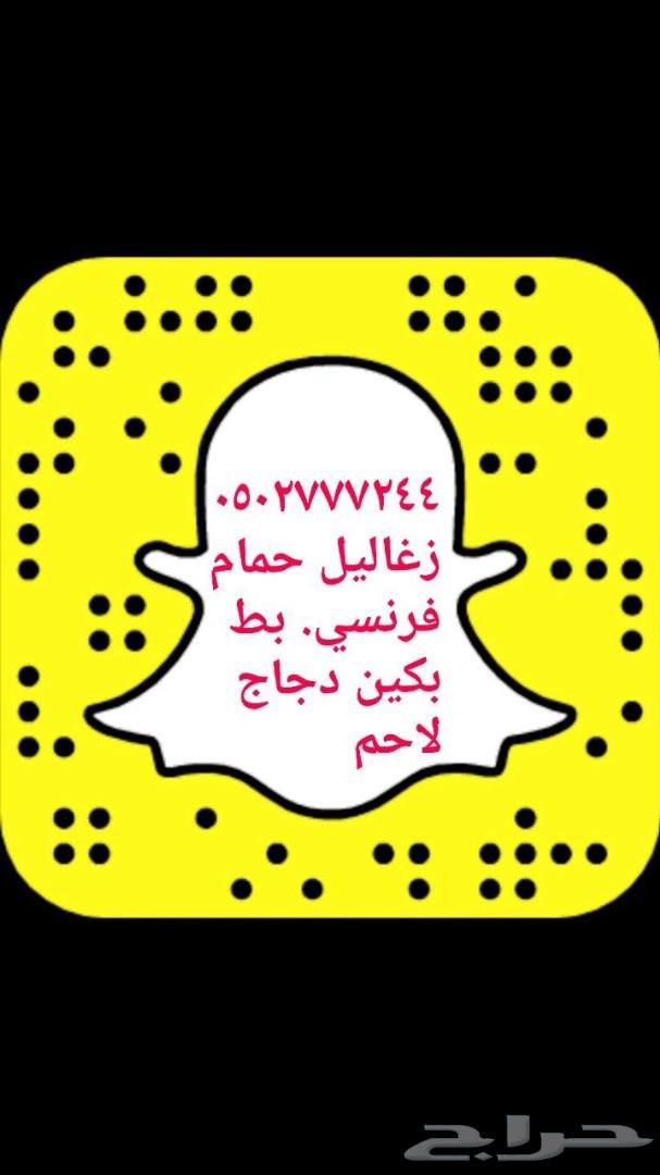 زغاليل فرنسي بط بكين دوك رومي وبلدي سمان