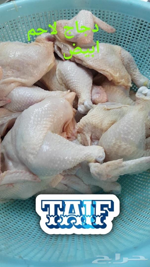 زغاليل فرنسي بط بكين دوك رومي وبلدي سمان