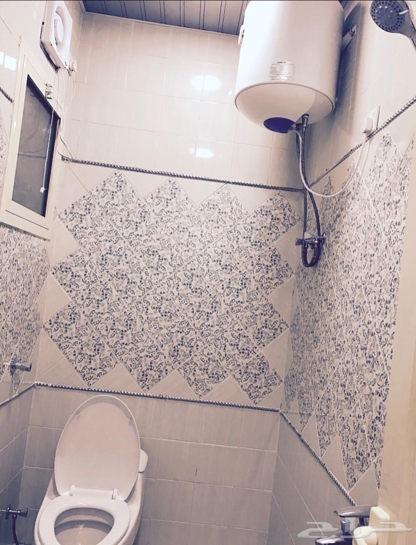 شقق عزاب فاخرة ومكيفة-حي الفرسان والضباب