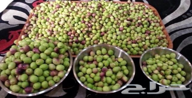 زيت زيتون فلسطيني بكر