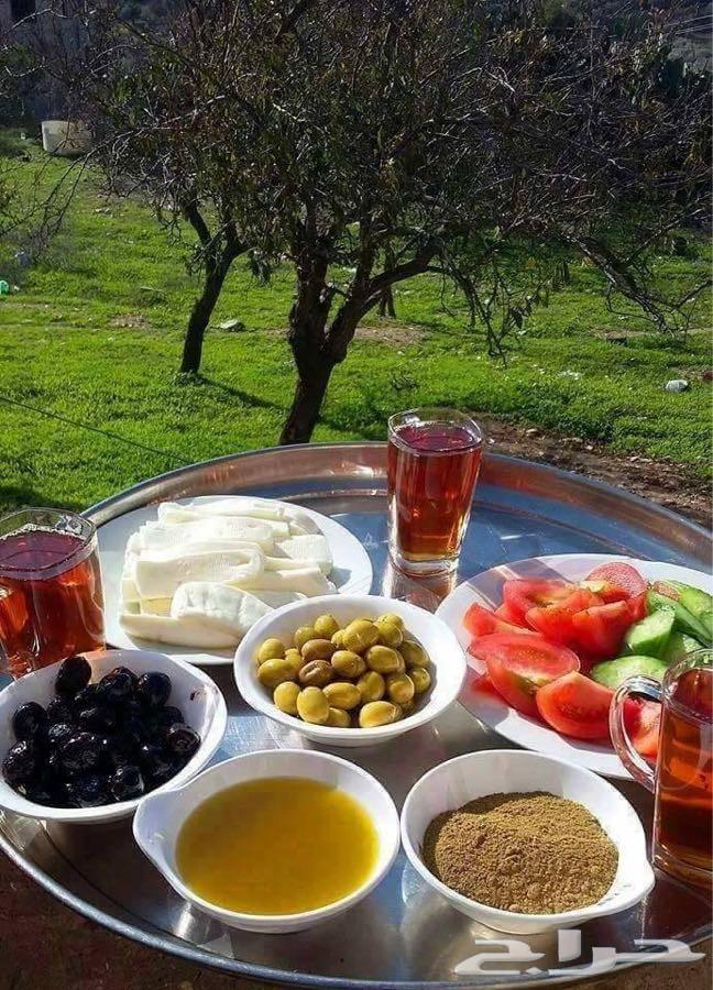 زيت زيتون فلسطيني بكر