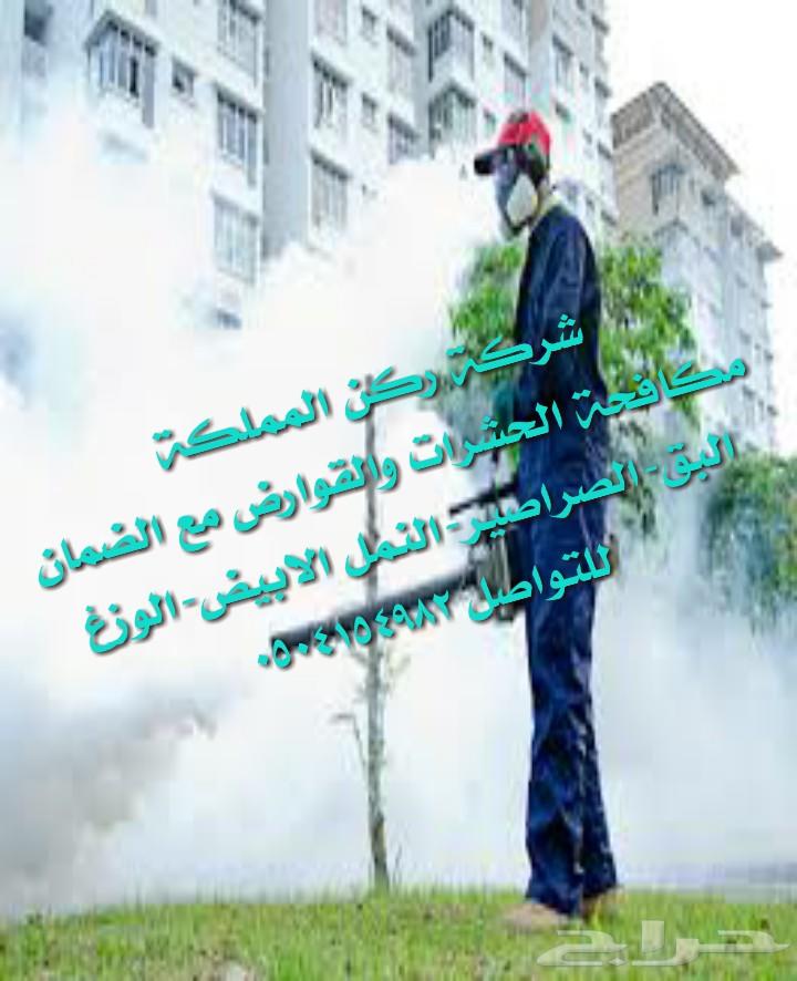 شركة تنظيف مجالس فرشات مكافحة الحشرات بالضمان