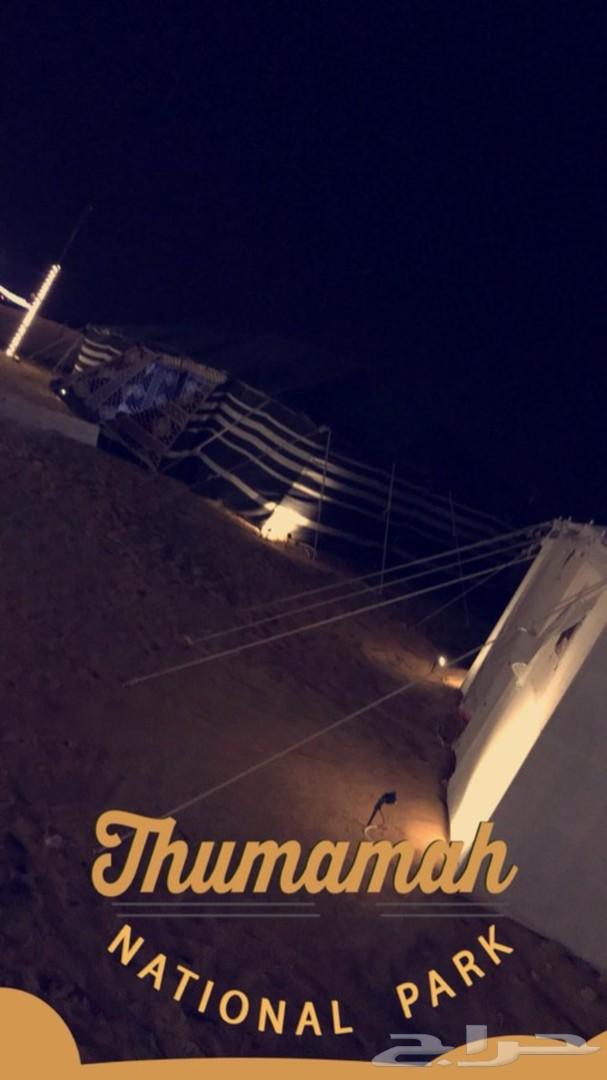 مخيم رويال