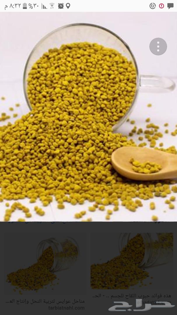 سدر بيشه وخلطة الخصوبه ومجرى وسمر مضمون