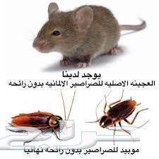مكافحة حشرات رش مبيد رش مبيدات شركة مكافحة حش