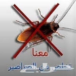 مكافحة حشرات رش مبيد رش مبيدات شركة مكافحة حش