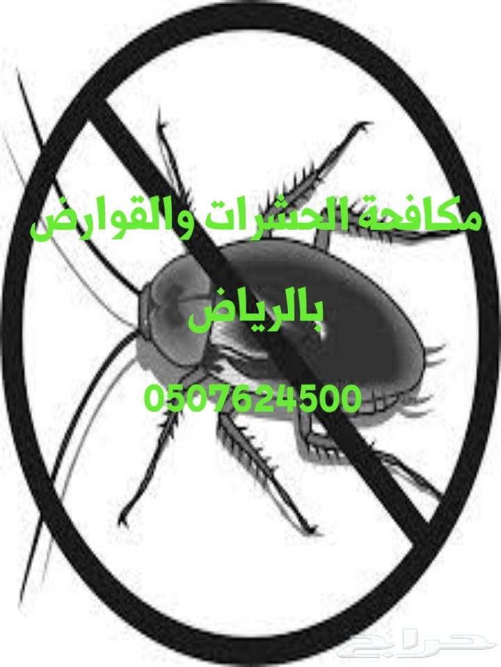 شركة نقل عفش بالرياض غسيل خزانات رش مبيدات
