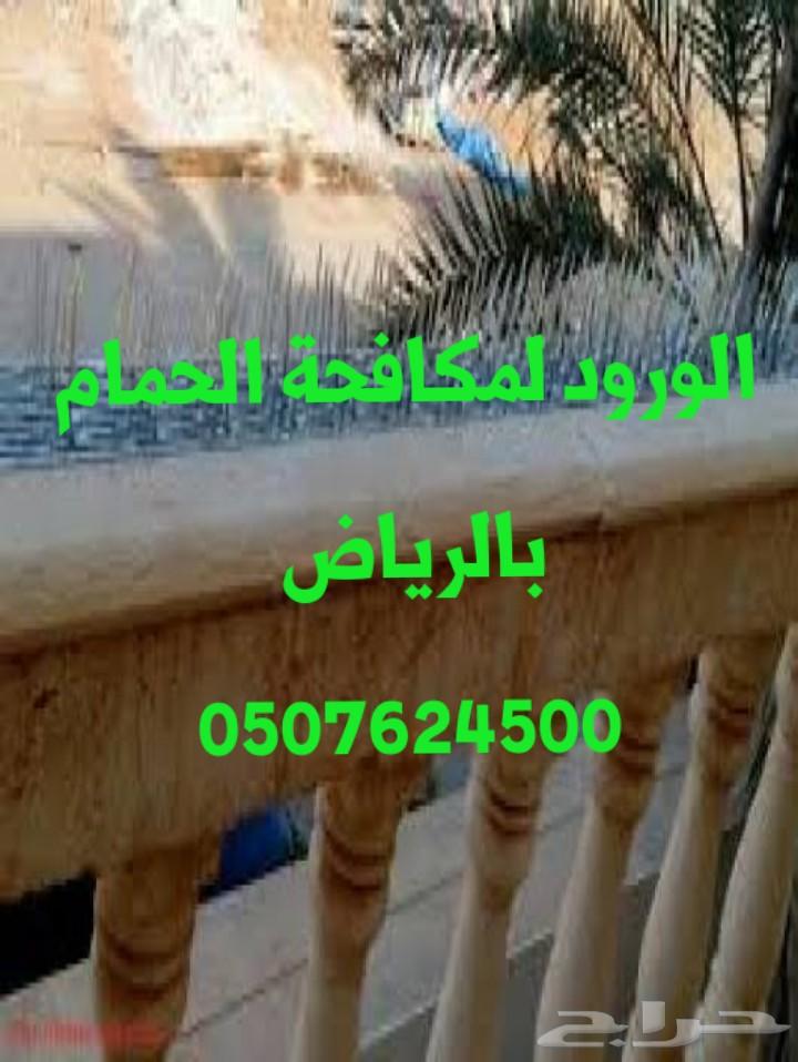 شركة نقل عفش بالرياض غسيل خزانات رش مبيدات