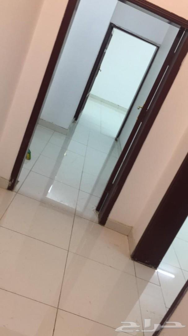 شقه عوائل