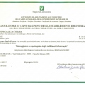 Ingrandire l'immagine: certificate 2