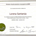 Ingrandire l'immagine: certificate 7