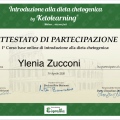 Ingrandire l'immagine: certificate 1