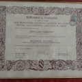 Ingrandire l'immagine: certificate 2