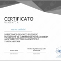 Ingrandire l'immagine: certificate 5