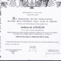 Ingrandire l'immagine: certificate 2