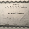 Ingrandire l'immagine: certificate 13