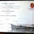Ingrandire l'immagine: certificate 1