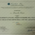 Ingrandire l'immagine: certificate 2