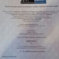 Ingrandire l'immagine: certificate 7