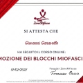 Ingrandire l'immagine: certificate 11