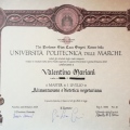 Ingrandire l'immagine: certificate 3