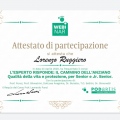 Ingrandire l'immagine: certificate 16