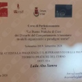 Ingrandire l'immagine: certificate 2