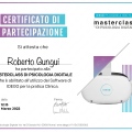 Ingrandire l'immagine: certificate 1