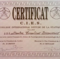 Ingrandire l'immagine: certificate 7
