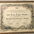 Ingrandire l'immagine: certificate 2