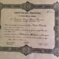 Ingrandire l'immagine: certificate 4