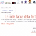 Ingrandire l'immagine: certificate 6