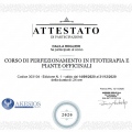Ingrandire l'immagine: certificate 1