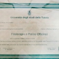 Ingrandire l'immagine: certificate 6