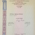 Ingrandire l'immagine: certificate 1