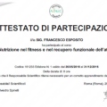 Ingrandire l'immagine: certificate 9